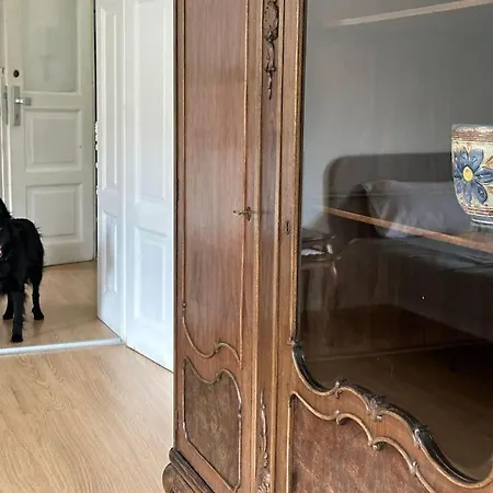 The Classy Sassy * Ljubljana