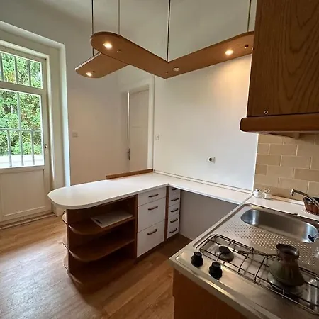 The Classy Sassy Laibach